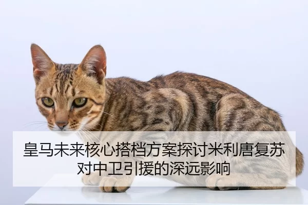 皇马未来核心搭档方案探讨米利唐复苏对中卫引援的深远影响